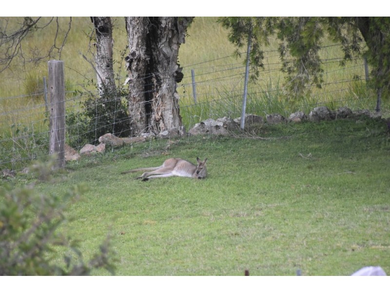 367 Moores Road, Monkerai via, Dungog NSW 2420