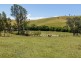 307 Sugarloaf Road, Sugarloaf Via, Dungog NSW 2420