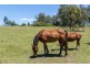 307 Sugarloaf Road, Sugarloaf Via, Dungog NSW 2420