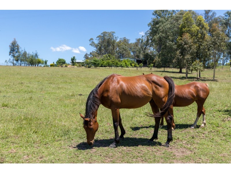 307 Sugarloaf Road, Sugarloaf Via, Dungog NSW 2420