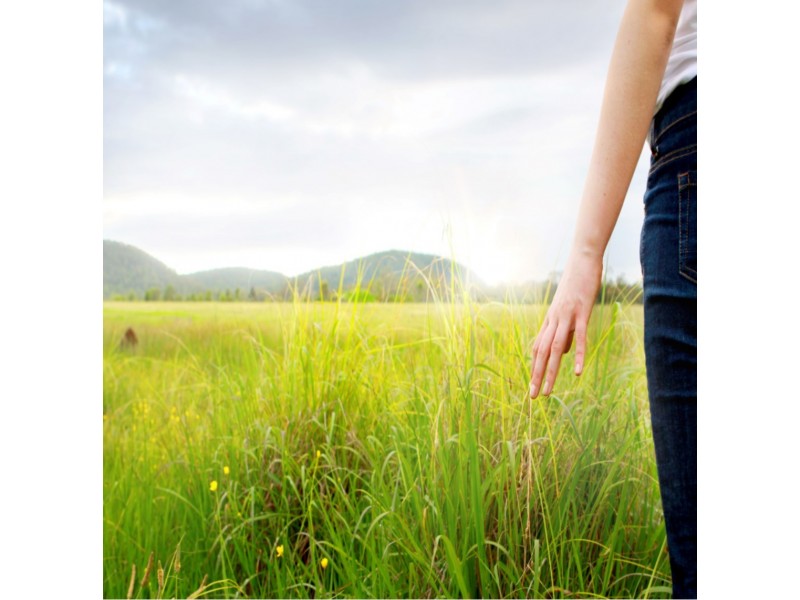 59 Boatfalls Drive, Clarence Town NSW 2321