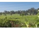 124 Dog Hole Road, Stockrington NSW 2322