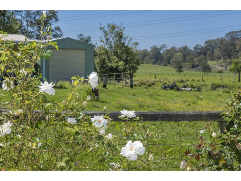 124 Dog Hole Road, Stockrington NSW 2322