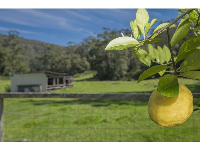 124 Dog Hole Road, Stockrington NSW 2322