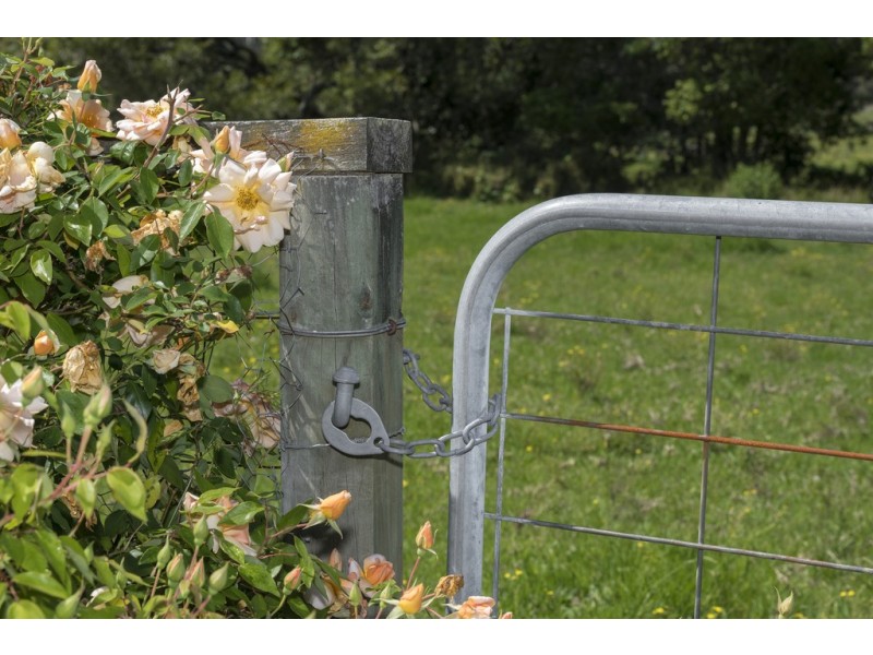 124 Dog Hole Road, Stockrington NSW 2322