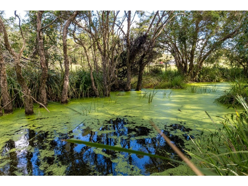 72 Suncrest Close, Bulahdelah NSW 2423