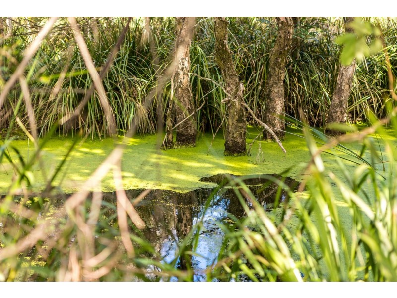 72 Suncrest Close, Bulahdelah NSW 2423