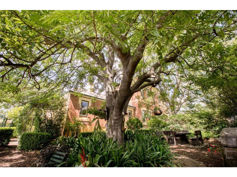 257 Dowling Street, Dungog NSW 2420