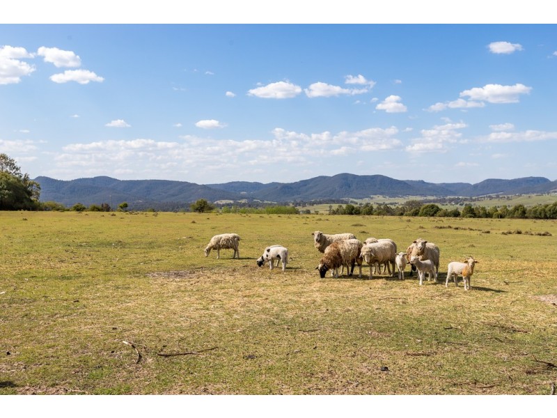 384 Elderslie Road, Branxton NSW 2335