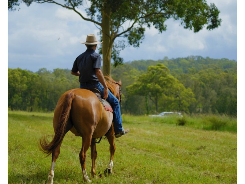 1029 Seaham Road ‘Brandon Grove’, Seaham NSW 2324