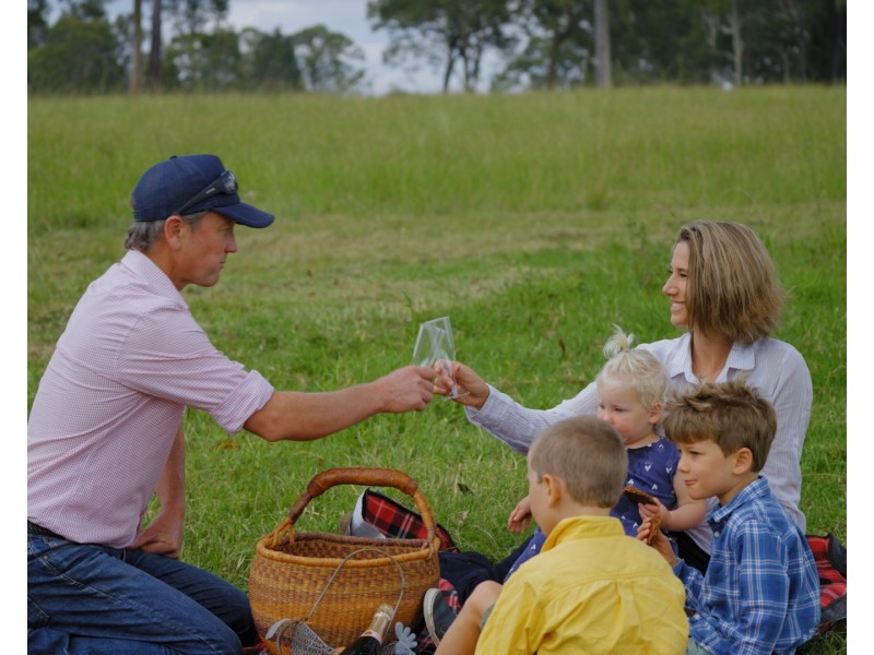 1029 Seaham Road ‘Brandon Grove’, Seaham NSW 2324