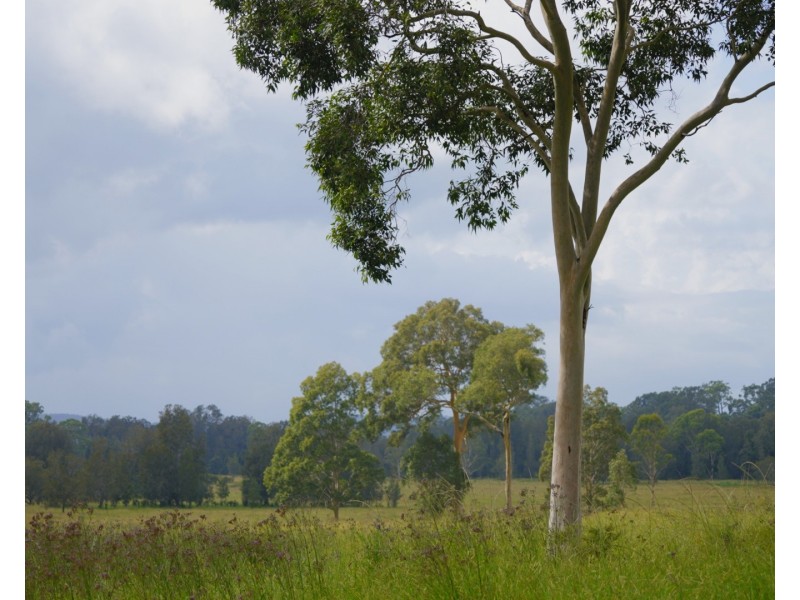 1029 Seaham Road ‘Brandon Grove’, Seaham NSW 2324