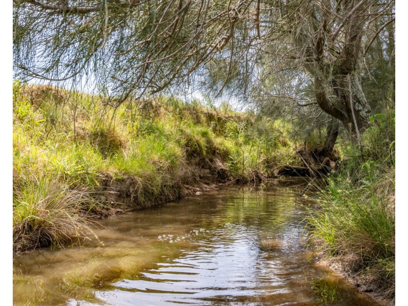 Lot 30 (DP865027)16 Hanleys Creek Road, Tabbil Creek Via, Dungog NSW 2420