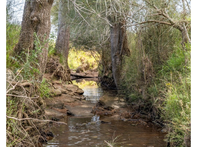 Lot 30 (DP865027)16 Hanleys Creek Road, Tabbil Creek Via, Dungog NSW 2420