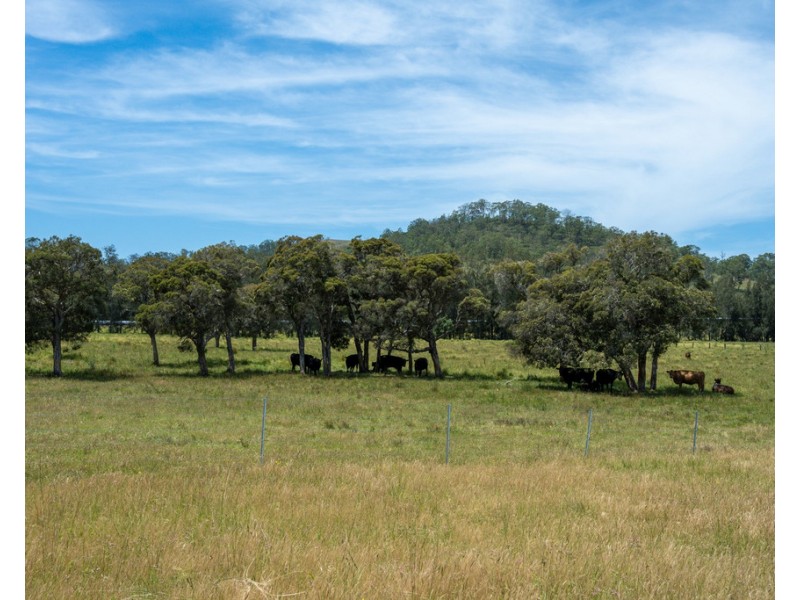 Lot 30 (DP865027)16 Hanleys Creek Road, Tabbil Creek Via, Dungog NSW 2420