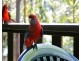 Cabin 16 17/ 2940 Salisbury Road, Salisbury via, Dungog NSW 2420