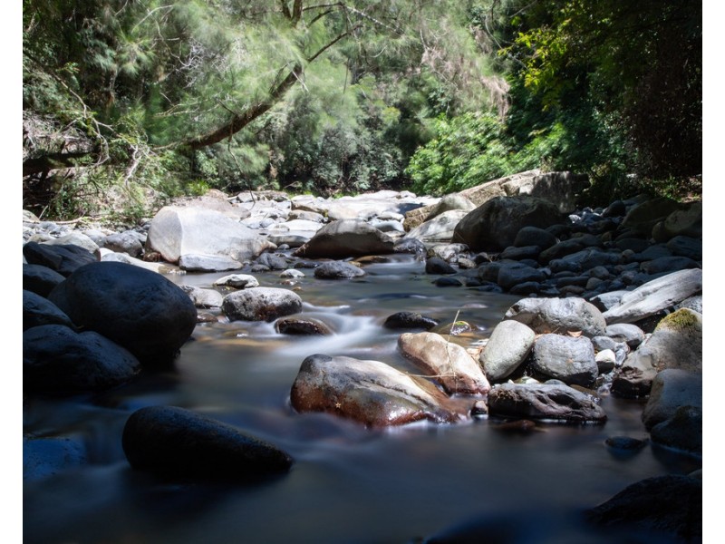Cabin 16 17/ 2940 Salisbury Road, Salisbury via, Dungog NSW 2420