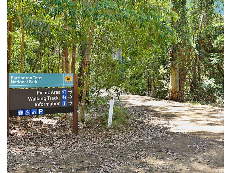 Cabin 16 17/ 2940 Salisbury Road, Salisbury via, Dungog NSW 2420