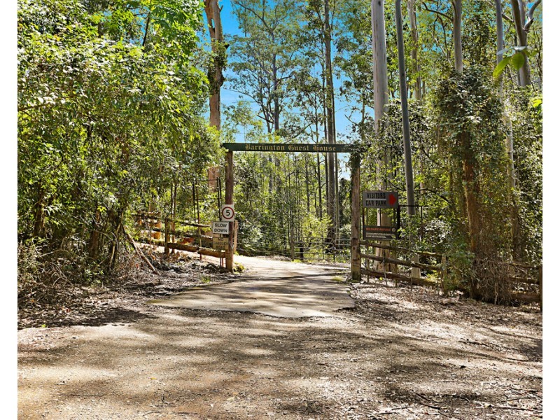 Cabin 16 17/ 2940 Salisbury Road, Salisbury via, Dungog NSW 2420