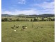 2657 Glendonbrook Road, Gresford NSW 2311