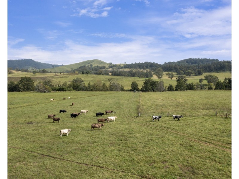 2657 Glendonbrook Road, Gresford NSW 2311