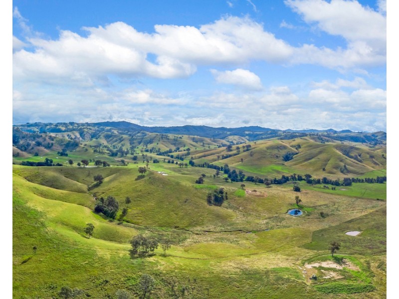 355 Hanleys Creek Road, Tabbil Creek Via, Dungog NSW 2420