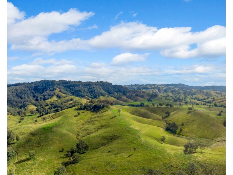 355 Hanleys Creek Road, Tabbil Creek Via, Dungog NSW 2420