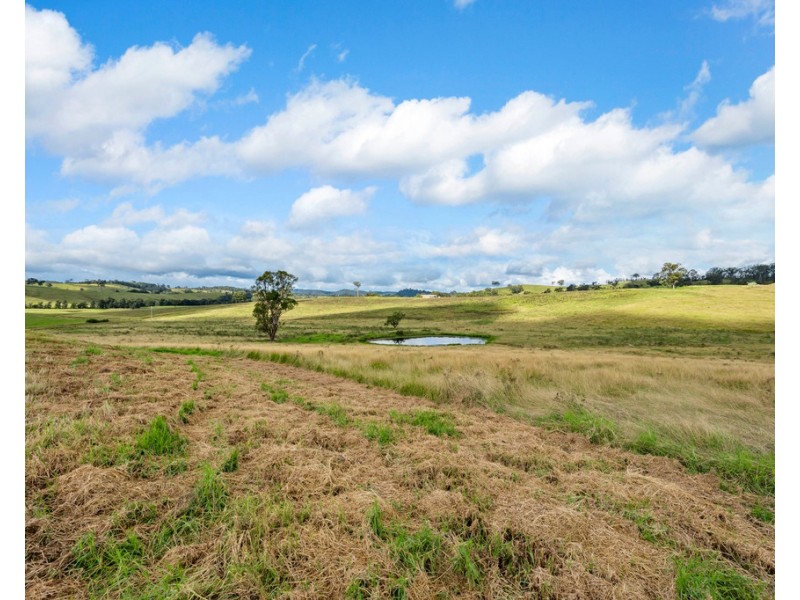 355 Hanleys Creek Road, Tabbil Creek Via, Dungog NSW 2420