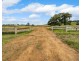 355 Hanleys Creek Road, Tabbil Creek Via, Dungog NSW 2420