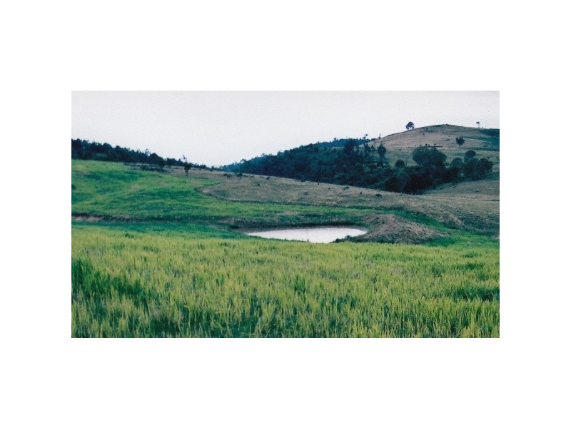 “Eden Springs” 3102 Wombeyan Caves Rd, Bullio NSW 2575