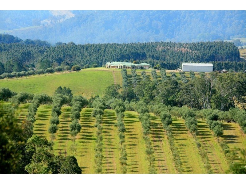 780 Forbes River Road, Birdwood NSW 2446