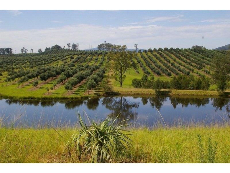 780 Forbes River Road, Birdwood NSW 2446