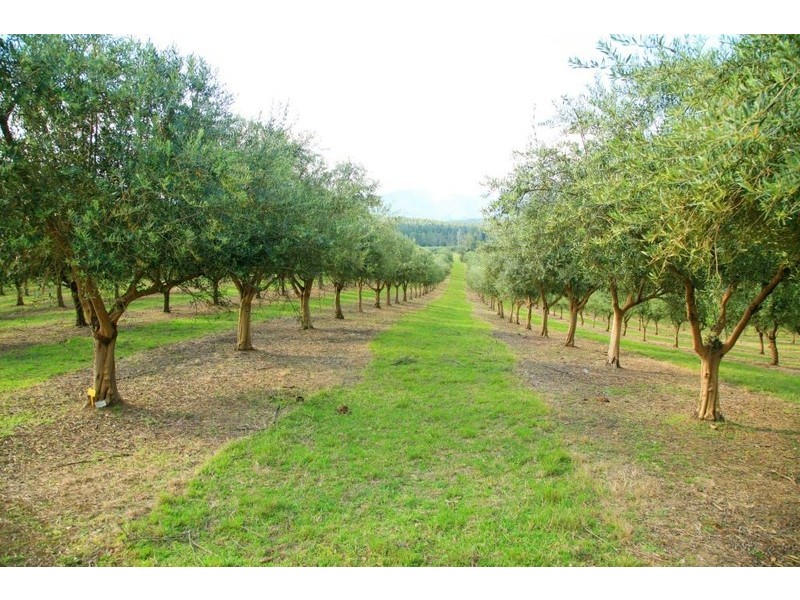 780 Forbes River Road, Birdwood NSW 2446