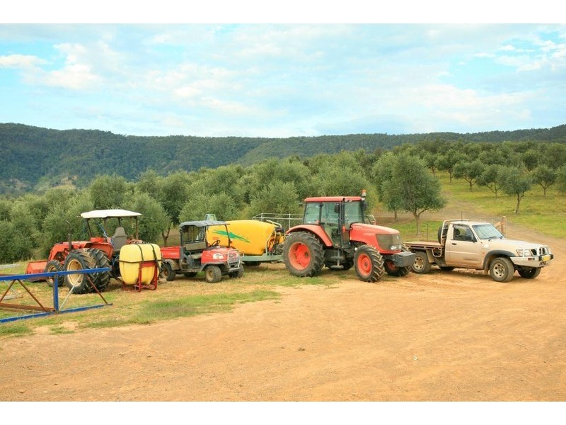 780 Forbes River Road, Birdwood NSW 2446