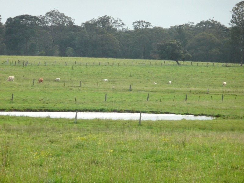 95 Great Southern Road, Bargo NSW 2574