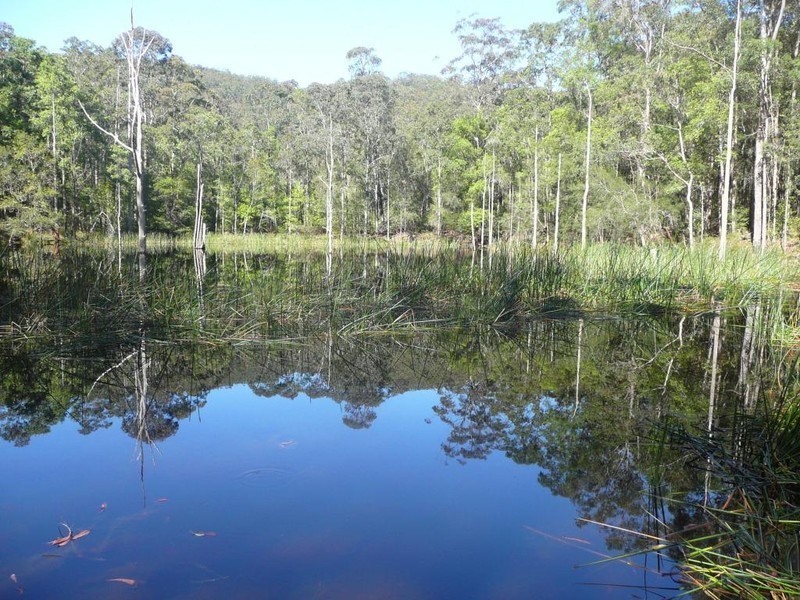 46 Dittons Road, Dooralong NSW 2259