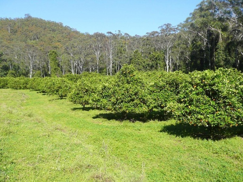 46 Dittons Road, Dooralong NSW 2259
