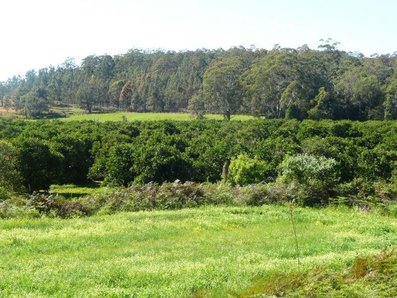 46 Dittons Road, Dooralong NSW 2259