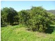46 Dittons Road, Dooralong NSW 2259