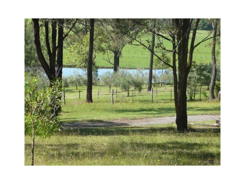 1330 Fosterton Road, Dungog NSW 2420
