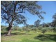 1330 Fosterton Road, Dungog NSW 2420