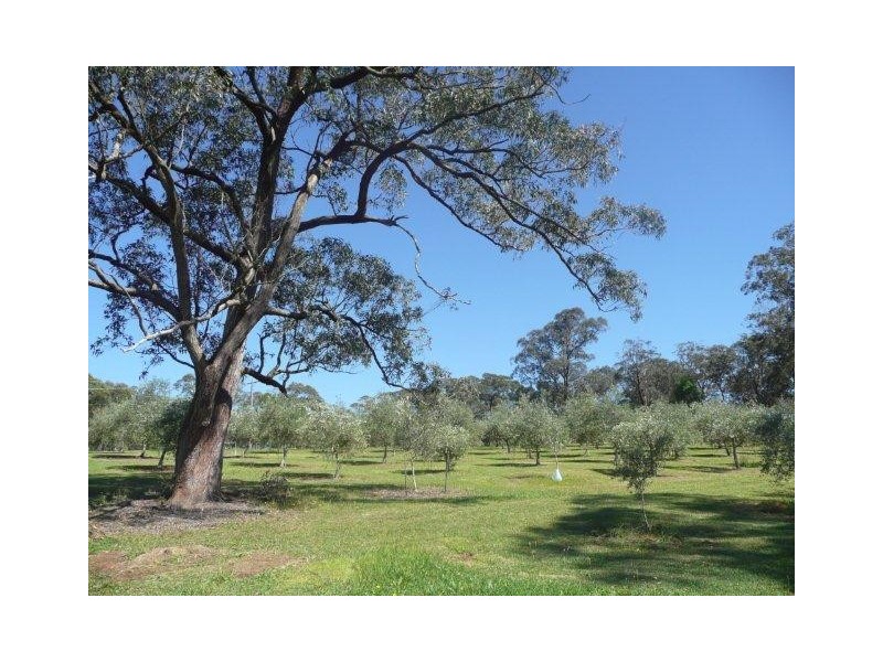 1330 Fosterton Road, Dungog NSW 2420