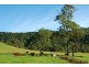 1089 Bakers Creek Road (Lot 22), Gloucester NSW 2422