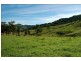 Lot 3 Bakers Creek Road, Bakers Creek NSW 2422