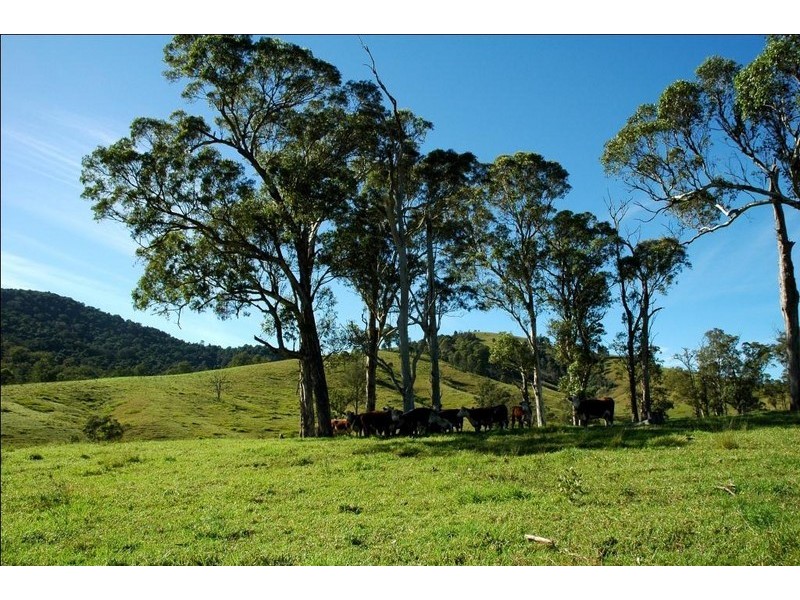 Lot 3 Bakers Creek Road, Bakers Creek NSW 2422