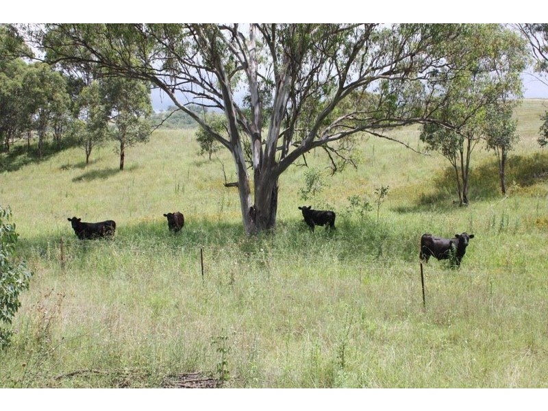 2021 Pembroke Road, Merriwa NSW 2329