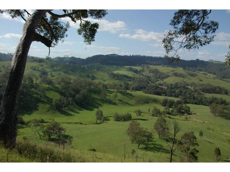 583 Wallaringa Road, Wallaringa NSW 2420