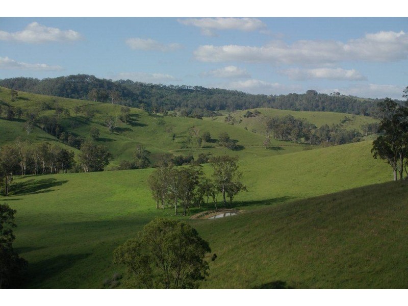 583 Wallaringa Road, Wallaringa NSW 2420