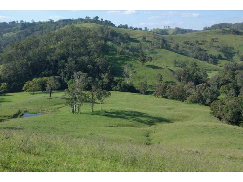 583 Wallaringa Road, Wallaringa NSW 2420