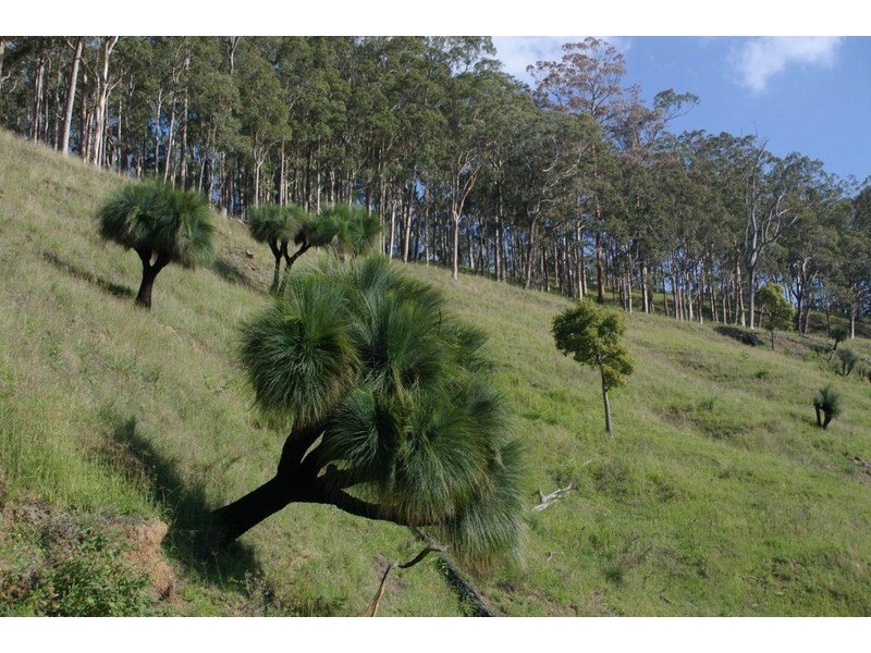 583 Wallaringa Road, Wallaringa NSW 2420